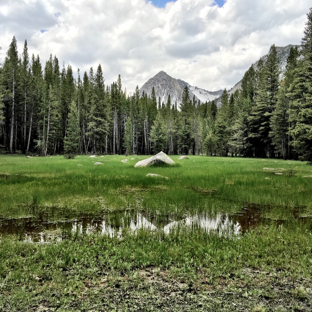 Meet your Posher, Julie